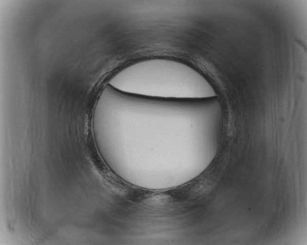 X0000102500210200808080952