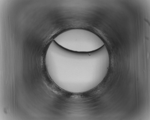 X0000102500211200808080952