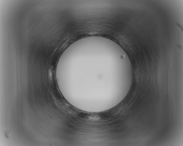 X0000102500214200808080952