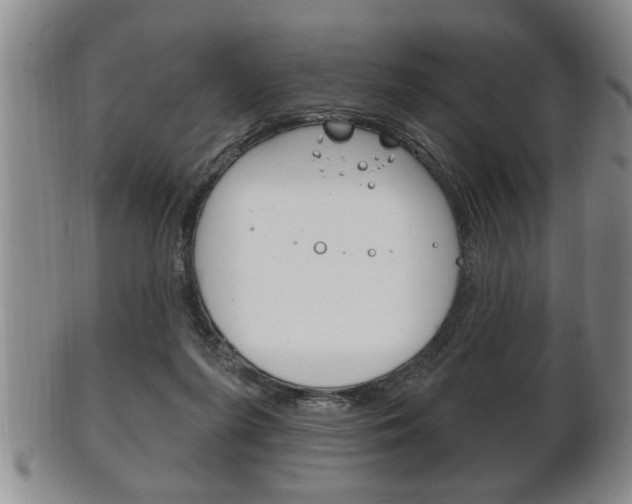 X0000102500215200808080952