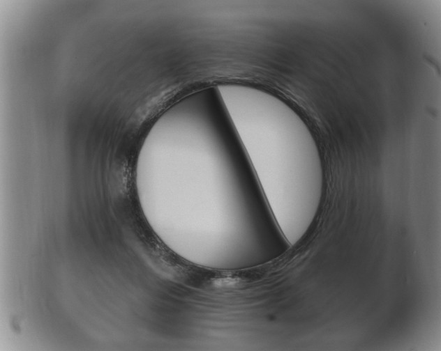 X0000102500216200808080952