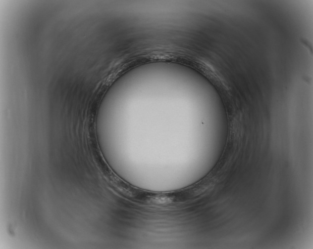X0000102500217200808080952