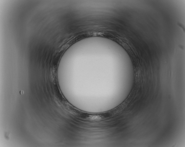 X0000102500218200808080952