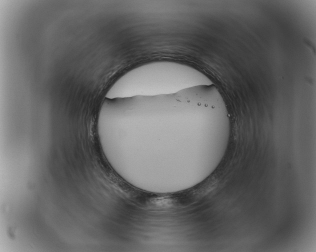 X0000102500219200808080952