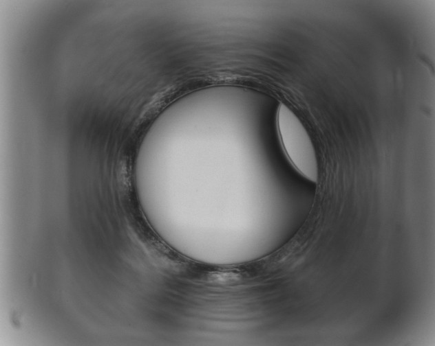 X0000102500220200808080952