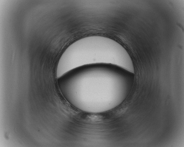 X0000102500221200808080952