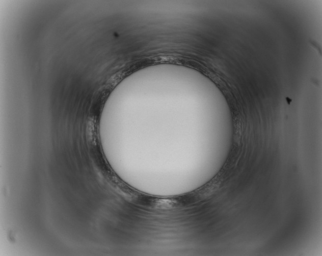 X0000102500222200808080952