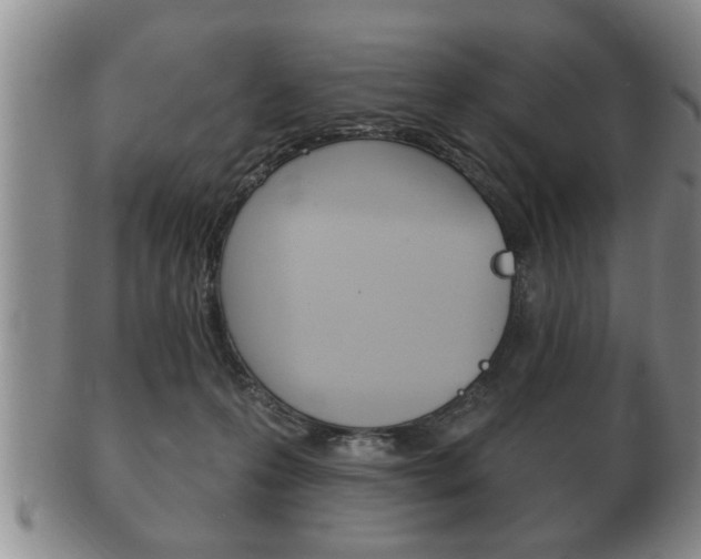 X0000102500223200808080952
