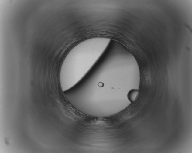 X0000102500224200808080952