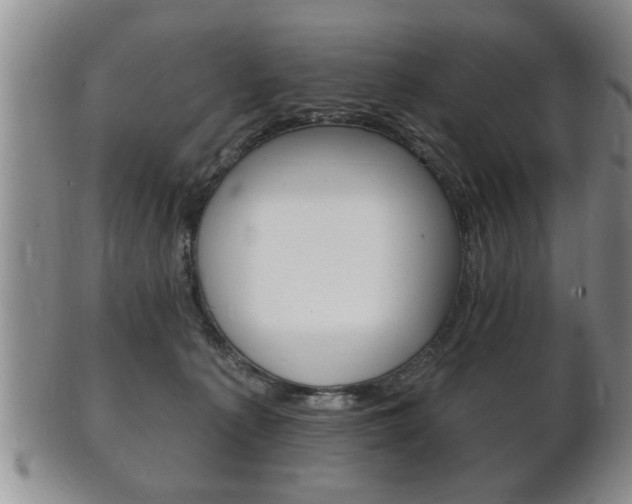 X0000102500225200808080952