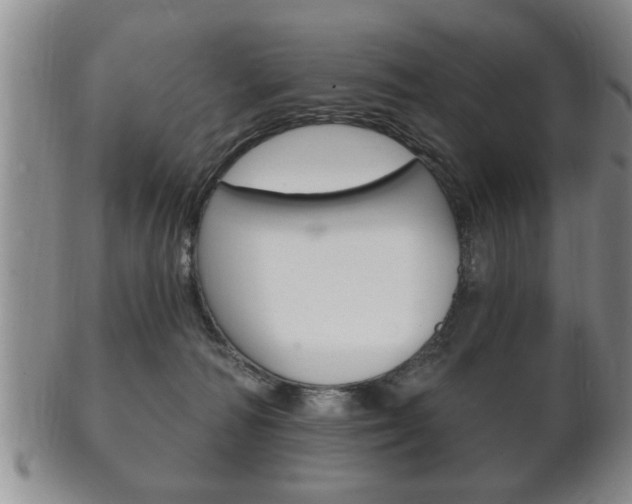 X0000102500226200808080952