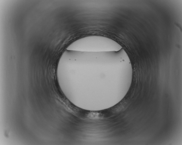 X0000102500227200808080952