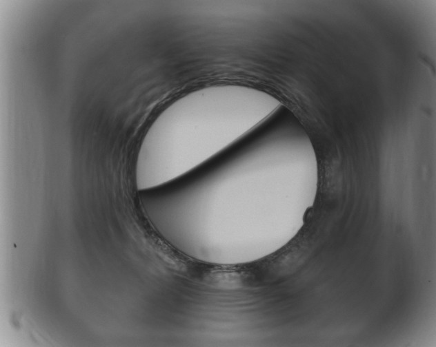 X0000102500228200808080952