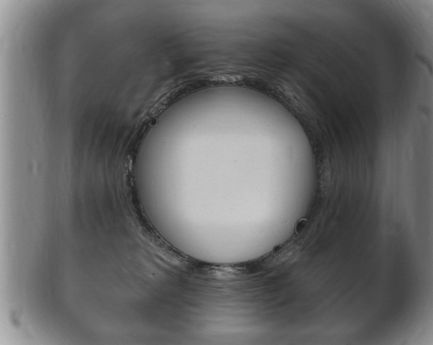 X0000102500229200808080952