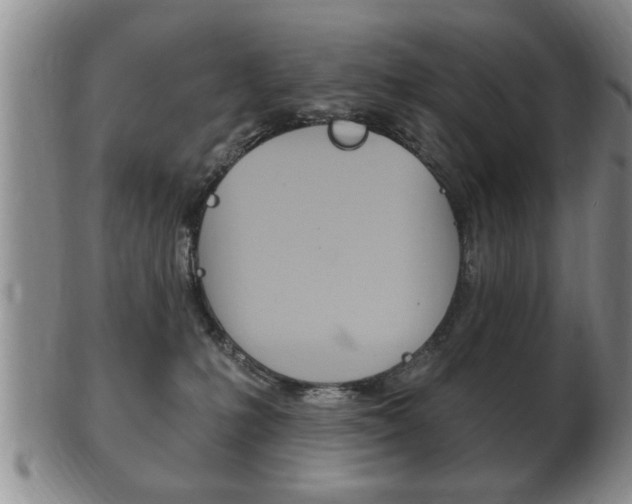 X0000102500231200808080952
