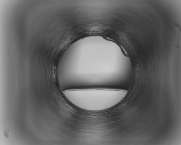 X0000102500232200808080952