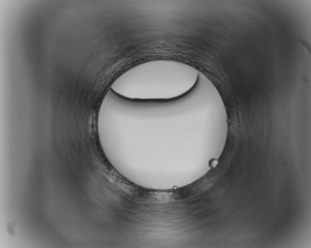 X0000102500233200808080952