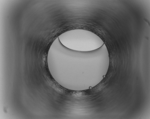 X0000102500235200808080951