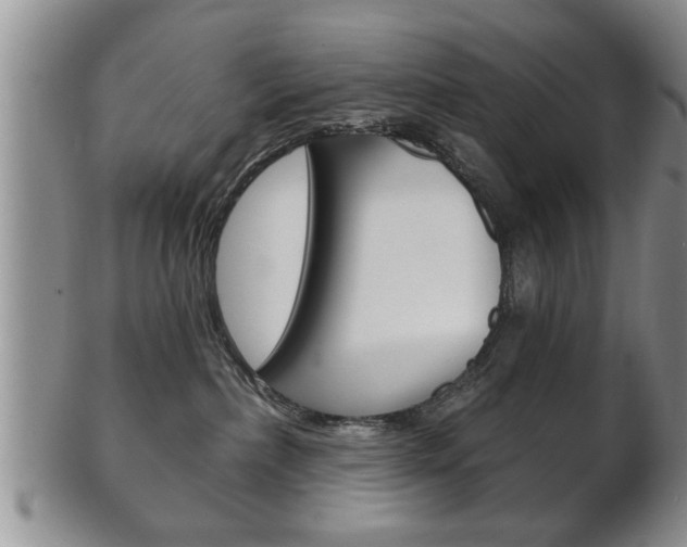 X0000102500236200808080951