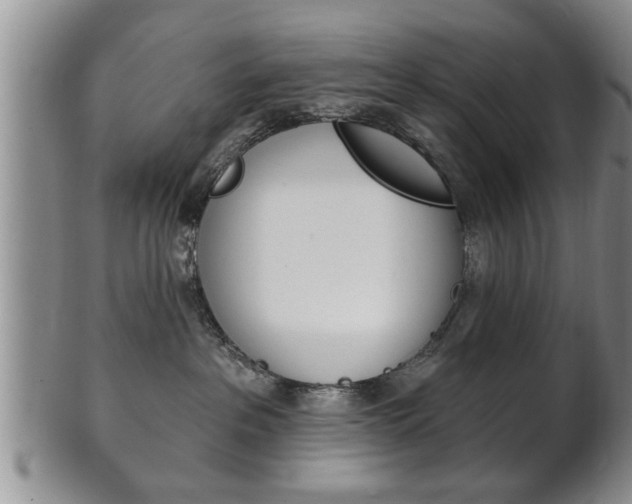 X0000102500237200808080951