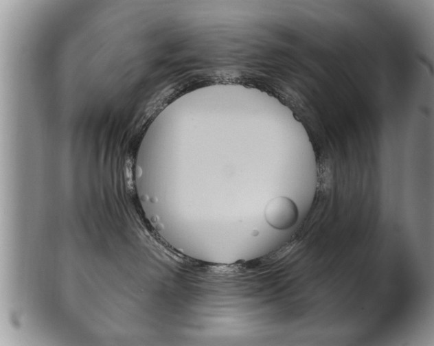 X0000102500238200808080951