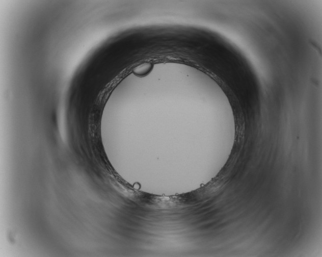 X0000102500239200808080951