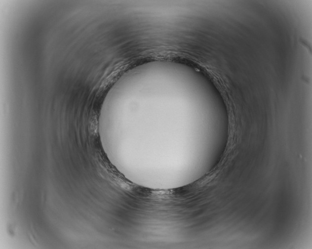 X0000102500240200808080951