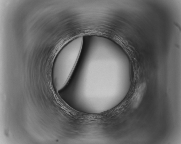 X0000102500241200808080951