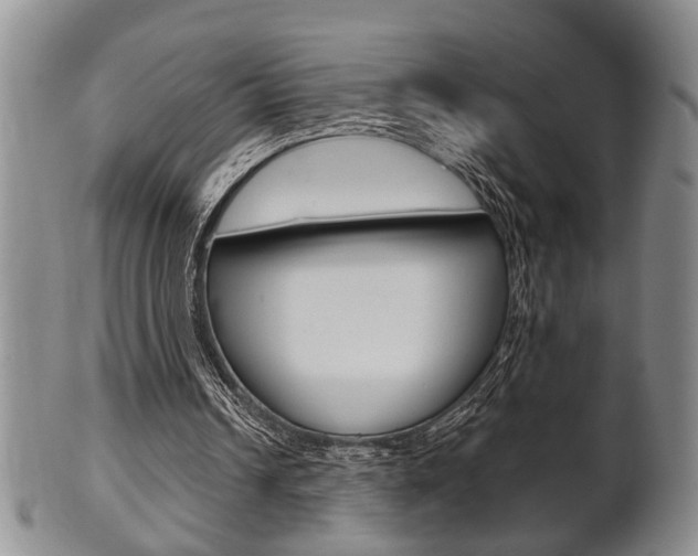 X0000102500242200808080951