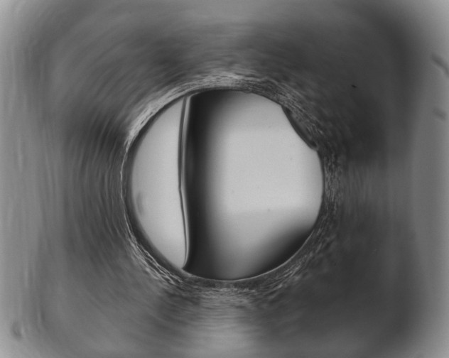 X0000102500244200808080951