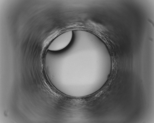 X0000102500245200808080951