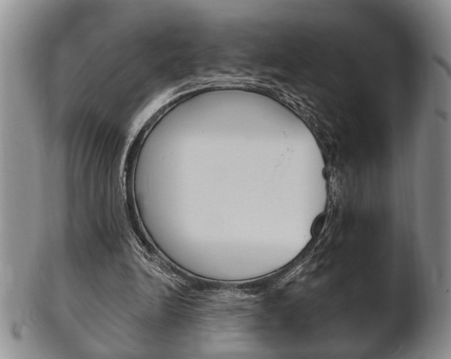 X0000102500246200808080951