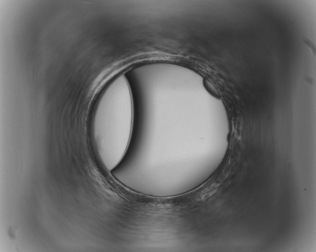 X0000102500247200808080951