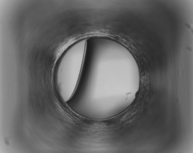 X0000102500248200808080951