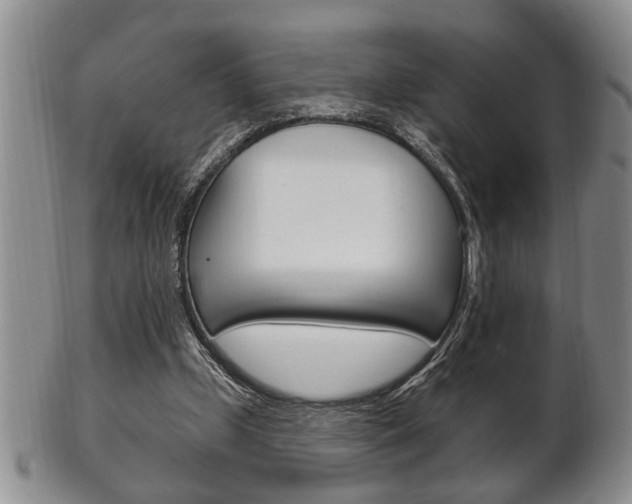 X0000102500249200808080951