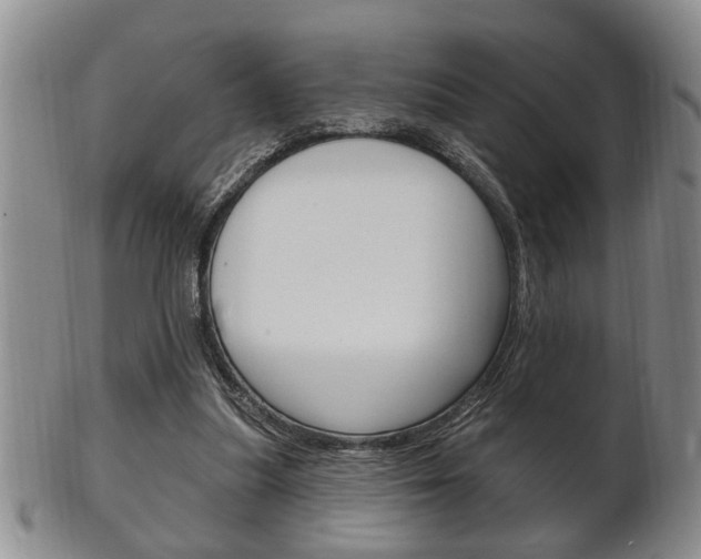 X0000102500251200808080951