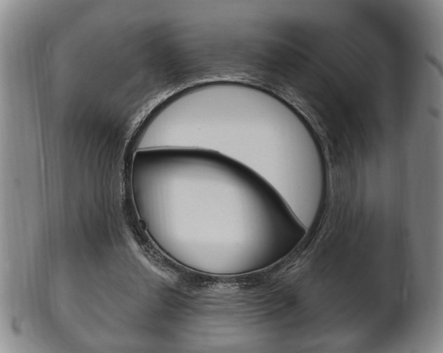 X0000102500252200808080951