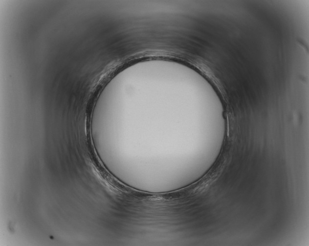 X0000102500253200808080951