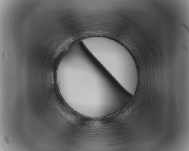 X0000102500254200808080951