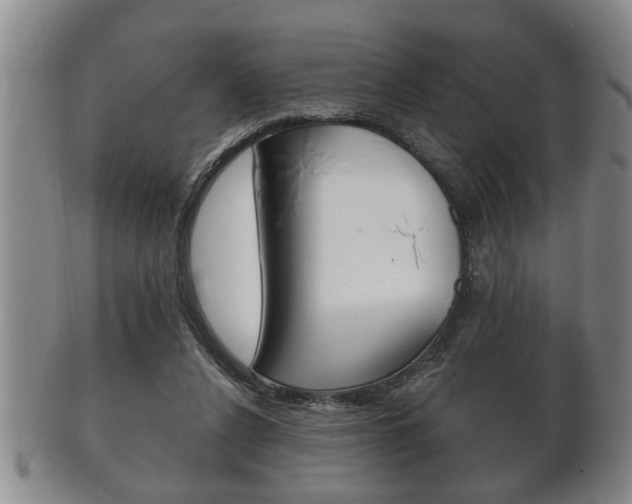 X0000102500256200808080951