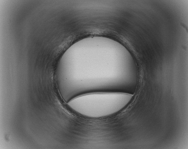 X0000102500257200808080951