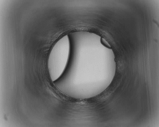X0000102500259200808080951