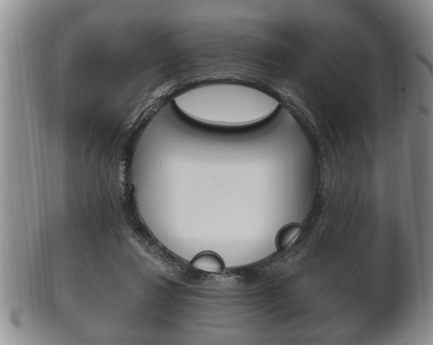 X0000102500260200808080951