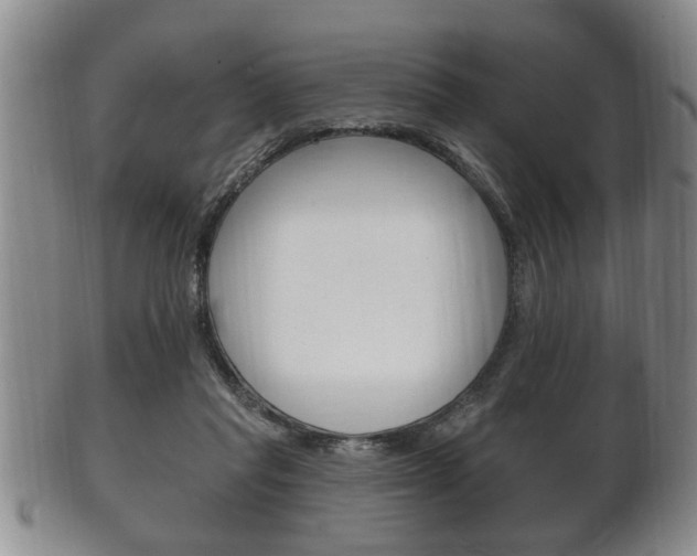 X0000102500261200808080951
