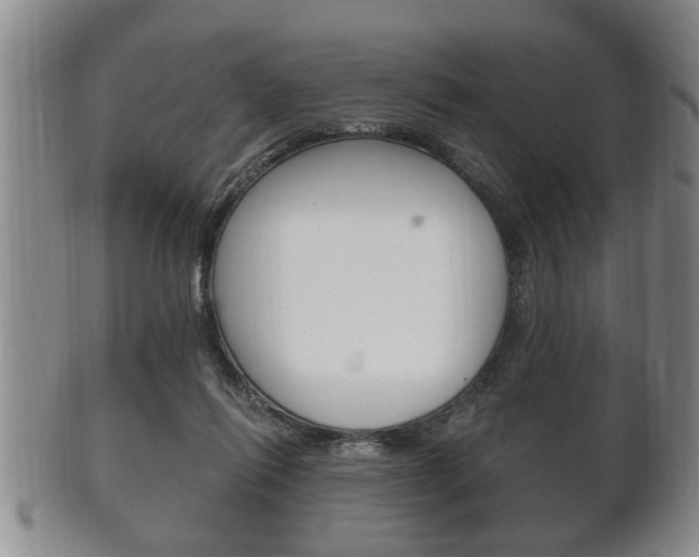X0000102500262200808080951