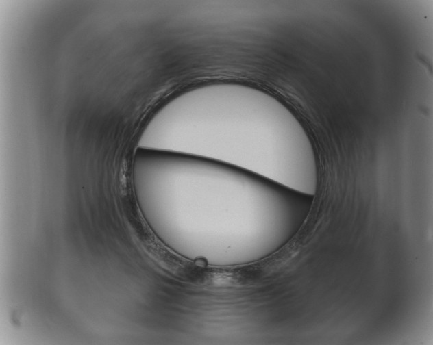 X0000102500264200808080951