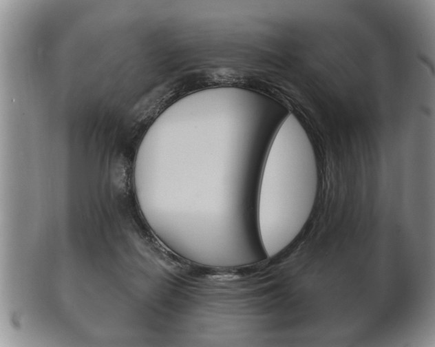 X0000102500266200808080951
