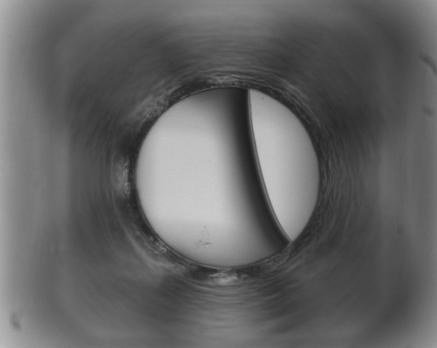 X0000102500267200808080951