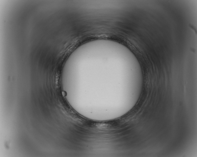 X0000102500268200808080951