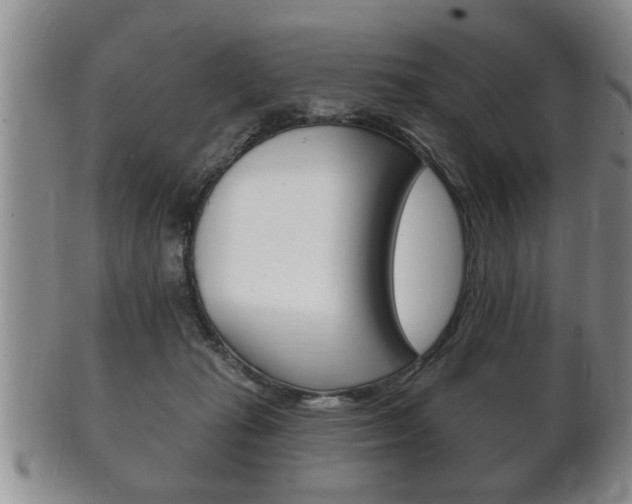 X0000102500269200808080951